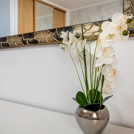 アパート Oasis San Eugenio By Altamar Homes *