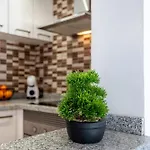 Apartman Oasis San Eugenio By Altamar Homes Costa Adeje (Tenerife)